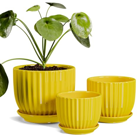 Ton Sin Ceramic Flower Pots,Yellow Plant Pots for Indoor Plants,4.1+5.1+6.5 inch Ceramic Plant Pots with Tray,Medium Indoor Planters for Aloe Cactus Decorative Pots with Drainage Hole (Set of 3)