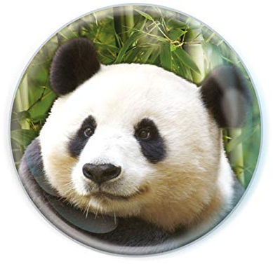 Deluxebase Magnidome Panda Fridge Magnet – Crystal Glass Dome Animal Magnets for Fridges, Decorative Strong Magnet for Kitchen Accessories, Novelty Gifts and Cute Home Decor.