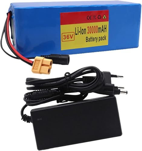 36V 30Ah Elektrofahrrad Batterie, 10S4p E-Bike Akku Batterie Pack, Eingebautes BMS, Mit 42V 2A Ladegerät, Für 200W 350W 500W Scooter, Elektrofahrräder Motor 36V 30AH,XT60 Plug