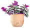 Tradescantia Nanouk Altezza 30 cm, Pianta Vera, Pianta da Interno, Vaso Artigianale in Terracotta