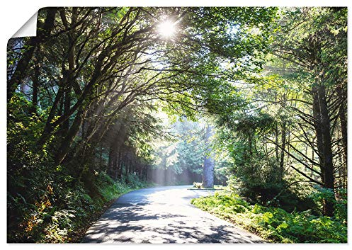 ARTLAND Wanddeko Poster & Kunstdrucke Wandposter Bild ohne Rahmen Querformat Landschaft Wald Natur Bäume Frühling Sonne U1TD