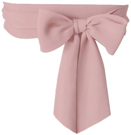Inzegao Ceinture longue en mousseline de soie pour femme pour cocktail, fête, mariage