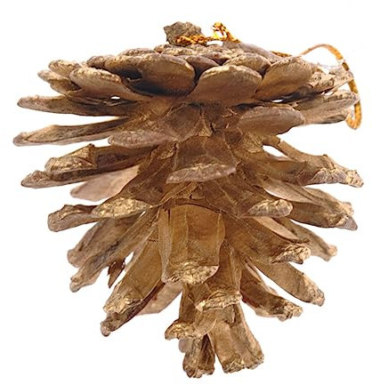 Warmhm Tannenzapfen Ornament Tischdekoration für Weihnachtsfeiern Tannenzapfen hängende Dekoration Goldrand Weihnachtsbaum Golddekor Herbst Kiefernzapfen Anhänger schmücken Dekorationen