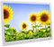 Photo Frame 17-inch touch button digital electronic album HDMI HD 1080P wall-mounted display video advertising machine Support USB and SD card