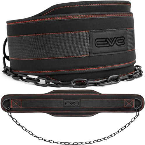 EVO Fitness Cintura Zavorra Dip Belt Heavy Duty 36 Pollici Catena Regolabile Cintura Per Sollevamento Pesi 6,2 Supporto Per La Schiena Cintura Palestra Per Trazioni Per Il Mento Uomo Donna (Nero)