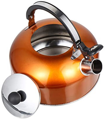 Healifty Fast Boil Stainless Steel Kettle Whistle Style Stove Induction Compatible