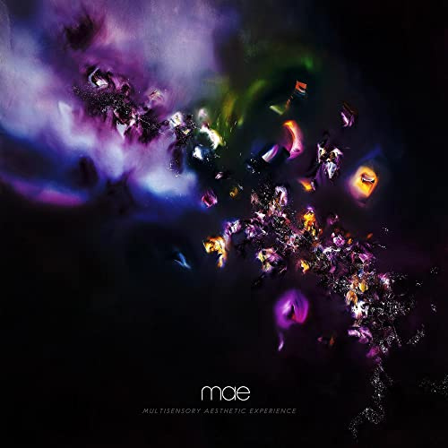 Multisensory Aesthetic Experience [VINYL]