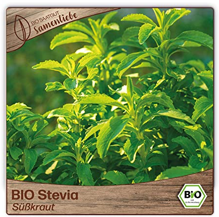 Samenliebe BIO Stevia Samen alte Sorte Süßkraut 10 Samen samenfestes Kräuter Saatgut für Küche indoor und Balkon Garten BIO Kräutersamen mehrjährig