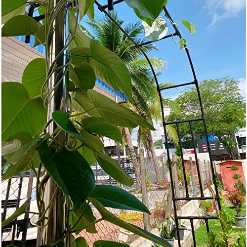 GardenArch-Spalier für Kletterpflanzen – robuste röhrenförmige Laubbögen – verdickte Pergola-Laube aus Metall für Rosen, Gartenspaliere, wetterfest, Dekorationen für Hotelpartys, Outdoor-Rasen,