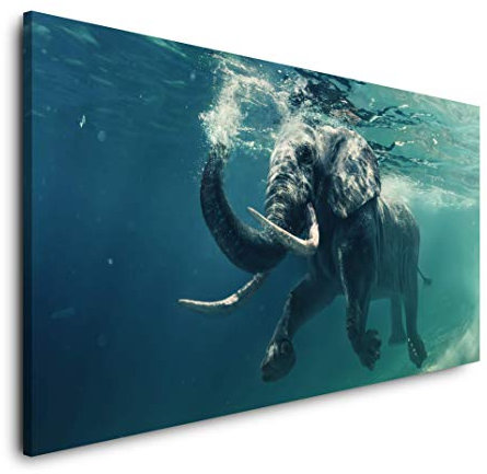 Elefant Unterwasser 120x 60cm Panorama Leinwand Bild XXL Format Wandbilder Wohnzimmer Wohnung Deko Kunstdrucke