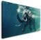 Elefant Unterwasser 120x 60cm Panorama Leinwand Bild XXL Format Wandbilder Wohnzimmer Wohnung Deko Kunstdrucke