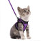 rabbitgoo Katzengeschirr Katzenleine Set Katzengeschirr mit Leine Geschirr Katzen ausbruchsicher verstellbar weich mit reflektierenden Streifen für Katzen Kitten Welpen Cat Harness Leash Lila S