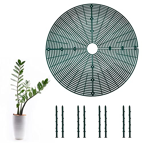 Mandeep Grilles de Protection pour Pot de Fleurs Anti-Chat Anti-Chiens Sécurité pour Bébé Protection du Plantes en Pot Contre Les Animaux de Compagnie - Diamètre 52 cm Vert