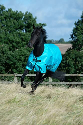 Bucas Freedom Turnout Light in Sweet Blue, Größe:100