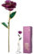 Natudeco In Gold getauchte Rose 24 Karat vergoldete Rosenblume Echte lila konservierte Blumengeschenke mit Basis für Valentinstag, Jahrestag, Hochzeit