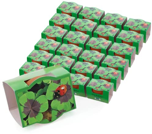 Bull & Bear 25er Set Mini-Pflanzset Glücksklee, Kleezwiebeln im Topf 4,5cm, vierblättrige Kleeblätter als Anzuchtset mit Pflegeanleitung