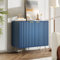 BursDany - Aparador de cocina con 2 puertas y 2 estantes, mueble de almacenamiento para cocina, comedor, sala de estar, azul, 80 x 40 x 78 cm