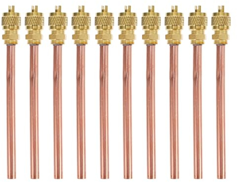 BUGUUYO Zugangsventil aus Messing für Kälteservice 10 Stück Einwegventil für Kältemittelanlage mit Verschleißfestem Ventilschaft für Sommeratmosphäre