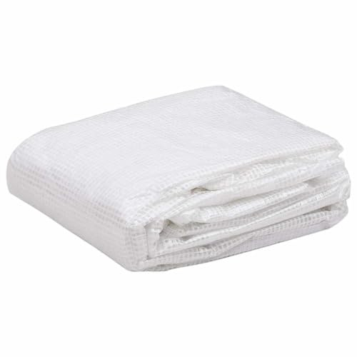 Bâche pour Serre, Bâche de Rechange Film Plastique pour Serre de Jardin (27 m²) 3x9x2 m Transparent