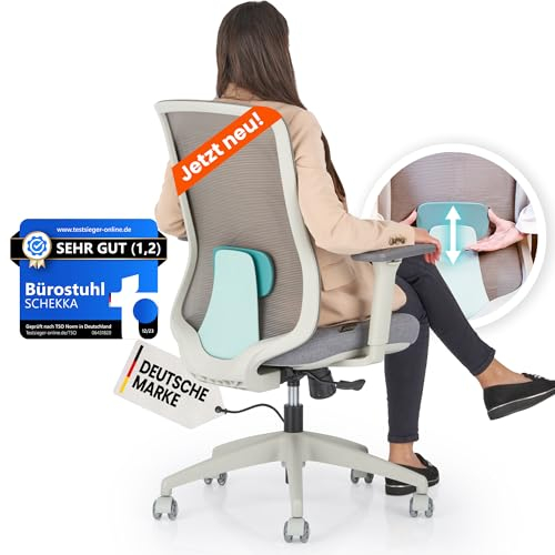 SCHEKKA Ergonomischer Bürostuhl [verstellbare Lordosenstütze] 3D-Armlehnen | Atmungsaktives Mesh | Ergonomic Desk Chair, Drehsessel | Büro, Homeoffice| 150kg (Hellgrau/Mint)