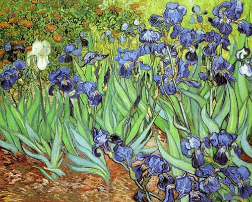 ZHXXFD Peinture Par Numero Adulte Enfant Paysage Tableaux Célèbres Sans Cadre 40X50CM Irises - Vincent Van Gogh,B28