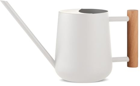 Niboow 1L Gießkanne Zimmerpflanzen, (1000 ml) 35 Oz Metall Edelstahl Klein Giesskanne mit Langem Auslauf und komfortablem Holzgriff für Innen und Außenbereich Pflanze Bonsai Garten Blume - Weiß