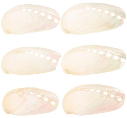 KICHOUSE 6 Pièces de Pierre Décorative en Coquille D'ormeau Beige Naturelle, Décoration de Mariage Plage Style Nautique, Accessoires Coquillages pour Ambiance Bord de Mer