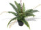 vidaXL Plante Artificielle avec Pot Fougère Décoration d'Intérieur 50 cm Vert
