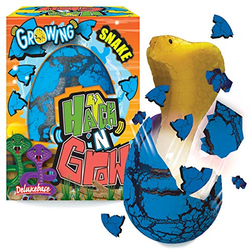 Hatch n Grow - Schlange von Deluxebase. 11cm großes, wachsendes und schlüpfendes Ei mit Schlangenspielzeug. Legen Sie es ins Wasser um zu sehen wie Sich das magische Spielzeug verwandelt