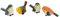 VIFERR Vogel Dekoration, 4Pcs Harz Vögel Tierfigur Dekoration Garten Hof Ornamente Mini Vogel Figuren für Balkon, Garten, Rasen, Teich