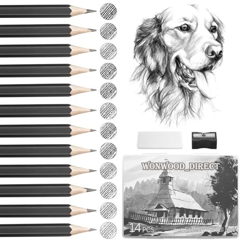Bleistift Set 14 Zeichenstifte, Zeichenstifte Professionell Set mit Bleistiftspitzer und Radiergummi, Bleistifte Zeichnen set für Künstler, Kinder, Erwachsene, Zeichnungen, Skizzieren Liebhaberin
