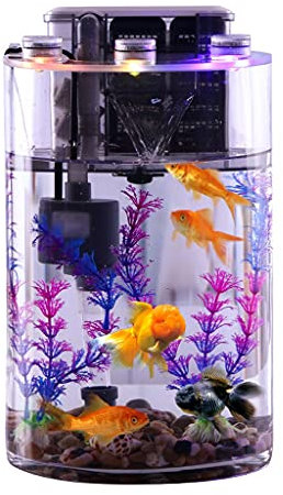 Aquarium Klar Fisch Schale, Transparentes zylindrisches Aquarium aus Glas for den Schreibtisch im Haushalt, for Faule Menschen, ohne Wasserwechsel, ökologisches Goldfischbecken, Aquariumbecken