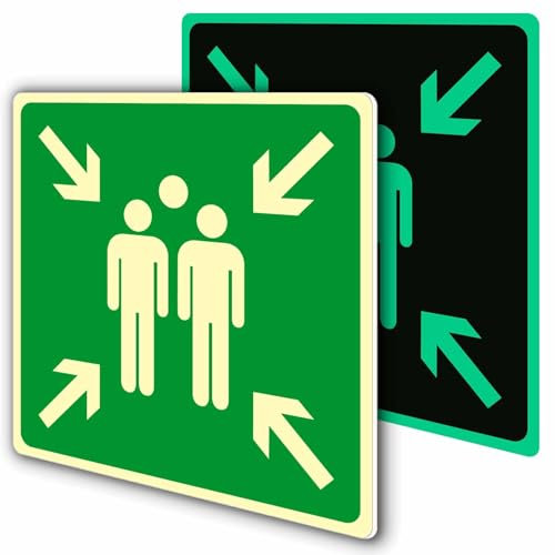 2 Luminoso Cartello Punto di Raccolta in Adesivi PVC CM 30x30, Punto di Assemblaggio Resistente per Esterno e Interno e Interno, Punto di Raccolta Segnaletica, Cartello di emergenza e sicurezza