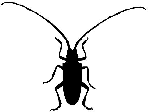 SHMAZ 12,7 * 9,5 cm Einzigartiges Styling Longhorn Beetle Lustiger Autoaufkleber Und Abziehbilder Zubehör Schwarz/Silber