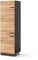 Vicco Kühlumbauschrank R-Line, Hochschrank für die Küche, Goldkraft Eiche/Anthrazit, 60 cm