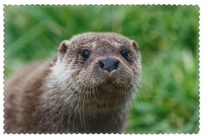 Eurasian Otter Platzsets für den Außenbereich, Hochformat im Gras, waschbar, Polyester, 1–6 Sets, rutschfeste, rechteckige Tischsets für Küche, Esstisch, Tischsets, 45 x 30 cm