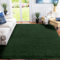 XSIVOD Soft Area Rugs for Living Room, Plush Fluffy Bedroom Rug, Non-slip Shaggy Rugs for Dorm Teens Room Decor, Modern Indoor Furry Carpets for Playroom Study Office, 80x160 cm, Dark Green