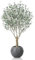 Fopamtri Artificial Olive Tree 210 cm Fake Plants with Lifelike Olive, Tall Faux Silk Olive Plant with Large Planter UV Resistant Indoor Outdoor Home Garden Decor (1 Pack)