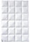 Billerbeck Bettdecke Clivia 90 – 200 x 200 cm – Winterdecke – Daunendecke mit 90% Daune, 10% Federn – Wärmestufe Warm