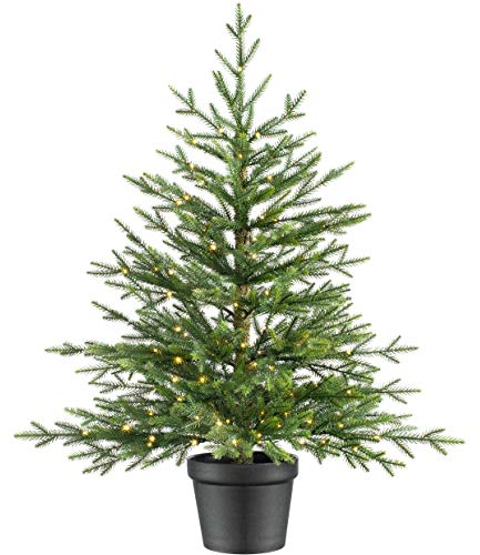 WeRChristmas Pre-Lit Potted Douglas Fir Christmas Tree, Green, 3 ft