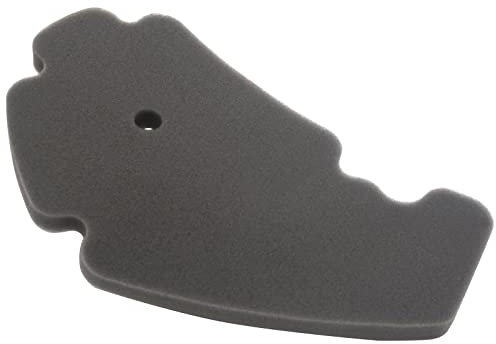 AHL Motocicletta Filtro Aria compatibile con Piaggio X7 250 2008-2009/X9 Evolution 250 2004-2007/Beverly 300 2010-2016/Beverly 300 Tourer 2009-2012/ Carnaby Cruiser 300 2009-2013