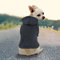 Idepet Haustier Kleidung Hundepullover Hunde Kleider welpen Pullover Hunde Warmer Mantel für Katzen Kleine Hunde Chihuahua Welpe Teddy Pudel (S, Schwarz)