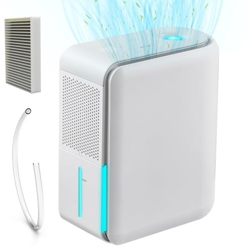 Umidificatore Multifunzione 1000ML con Display della Temperatura, Umidificatore Deumidificatore 3 in 1 Combo con Filtrazione dell'Aria, Controllo Touch-Screen, Deumidificatore per Camera da Letto
