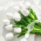 ROLLWAY 12 PCS Künstliche Tulpen wie echt, Latex Tulpen Künstlich Weiß, Kunstblumen Frühling Unechte Tulpen Deko, Kunsttulpen Fake Tulpen Real Touch Faux Tulpen für Hochzeitsstrauß Home DIY Deko