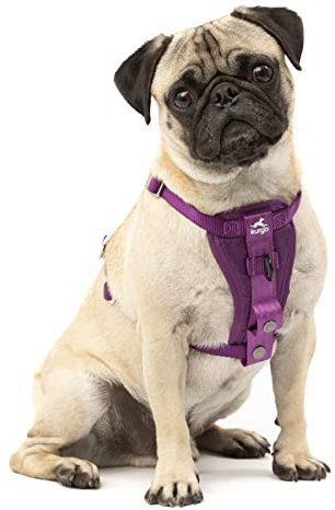 Kurgo TRU-Fit Hundegeschirr, Crash-Test-erprobtes Auto-Sicherheitsgurt, Für Hunde von 2 bis 5 kg, Größe S, Lila
