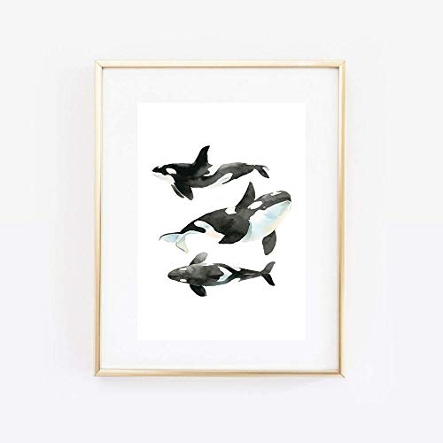 Din A4 Kunstdruck ohne Rahmen - Wal Orca Killerwal Meerestier Ozean Maritim Aquarell Badezimmer Druck Poster Bild
