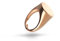 Anello Chevalier da Mignolo in Argento 925% Placato Rosè Regolabile a forma di Tondo Cerchio - Anello Donna e Ragazza