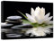 CCWACPP Zen Leinwanddrucke weiße Lotusblüte im Wasser Wandbild Blumen Stein Spa Gemälde für Yoga Meditationsraum Badezimmer Wanddekoration 40x60 cm