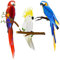 Amosfun 3st Papagei-waben-Charme Wabenpapagei Vogelausschnitte Zum Basteln Wabengewebekugeln Pom Pom Tiki-vögel Tropische Vögel Zum Aufhängen Tropische Pompons Tropische Vogelfigur Papier