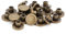 HEEPDD 50 Set Rivetto a Vite, Borchie a Testa Piatta in Ottone durevoli Ottone filettato in Pelle Artigianato Viti Rivetto chiodo Riparazione Artigianale in Pelle per Borsa(Bronzo)